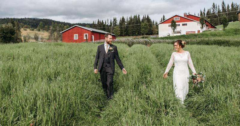 Pexels.com/Pavel Danilyuk